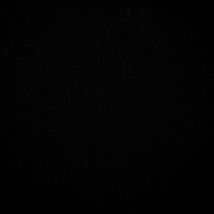 Meet your Posher, Lils